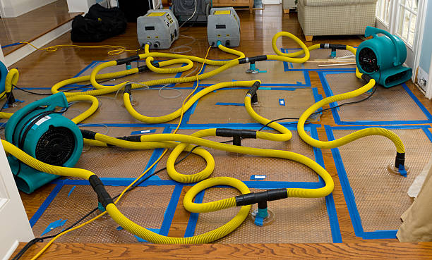 Professional Water Extraction technician working in Saint Paris, OH